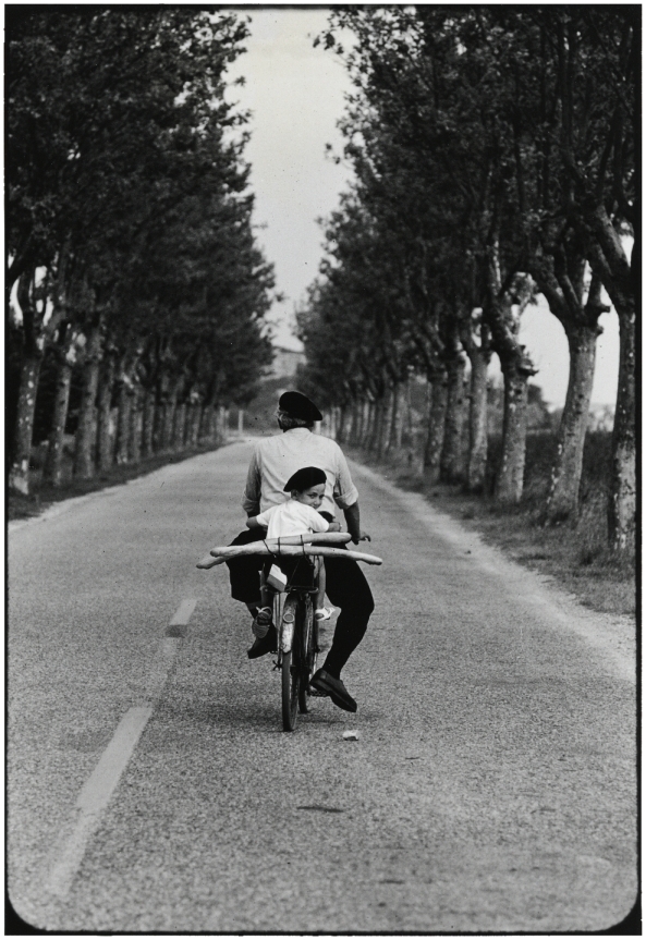 エリオット・アーウィット 「プロヴァンス、 フランス」 1955　何必館・京都現代美術館蔵